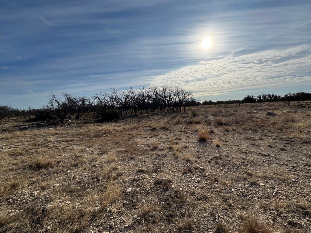 18.44 acres in Menard County - photo 5
