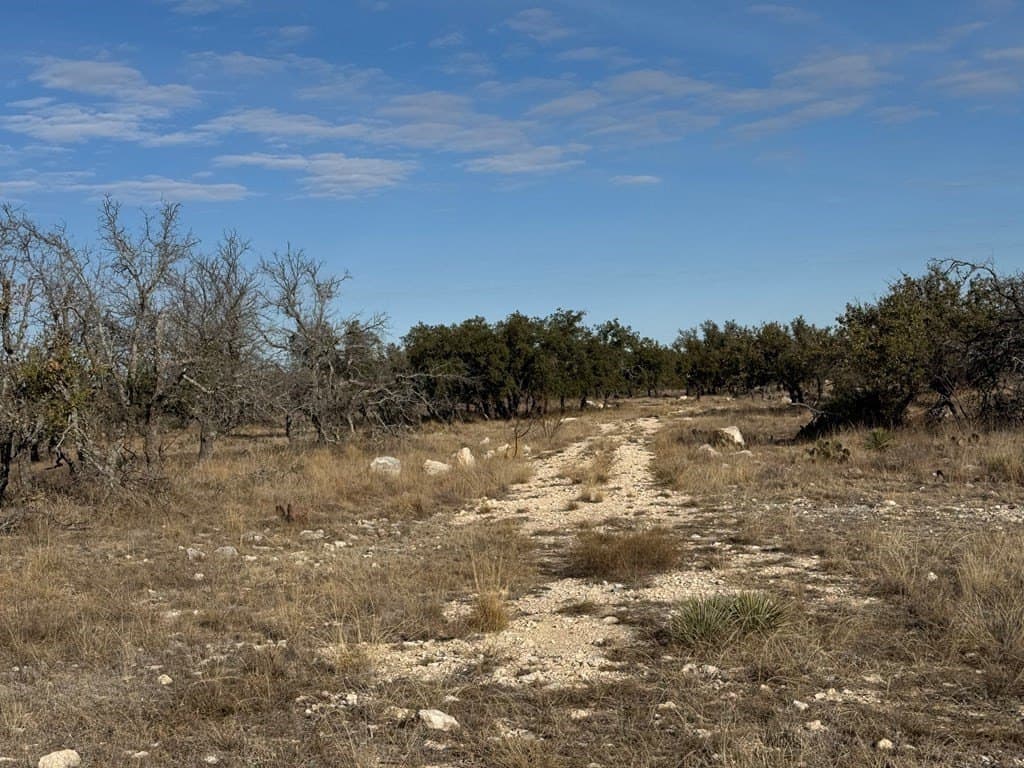 18.44 acres in Menard County - photo 12