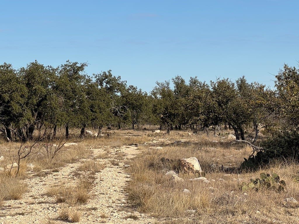 18.44 acres in Menard County - photo 15