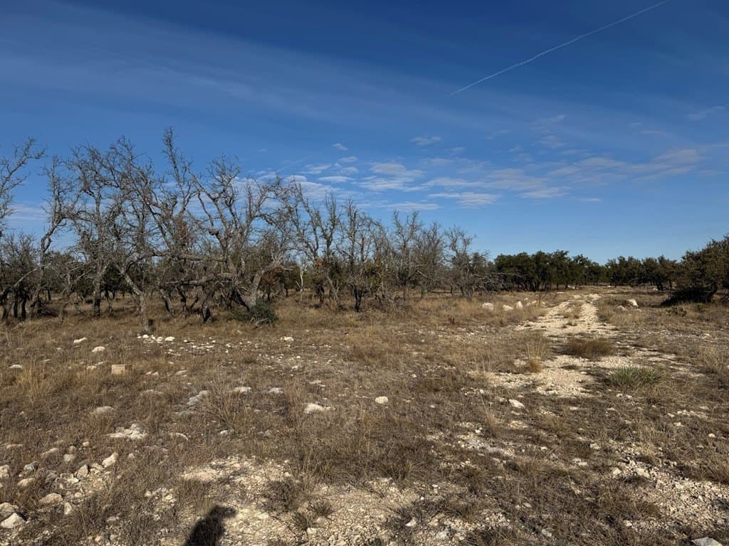 18.44 acres in Menard County - photo 11