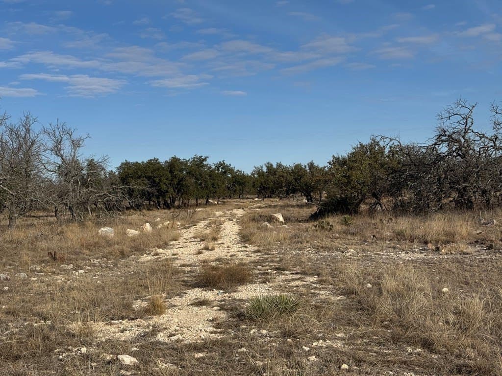 18.44 acres in Menard County - photo 13