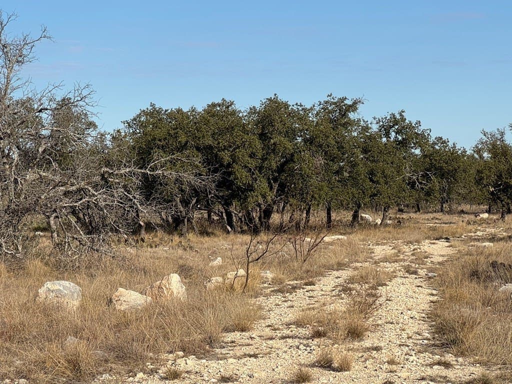 18.44 acres in Menard County - photo 14