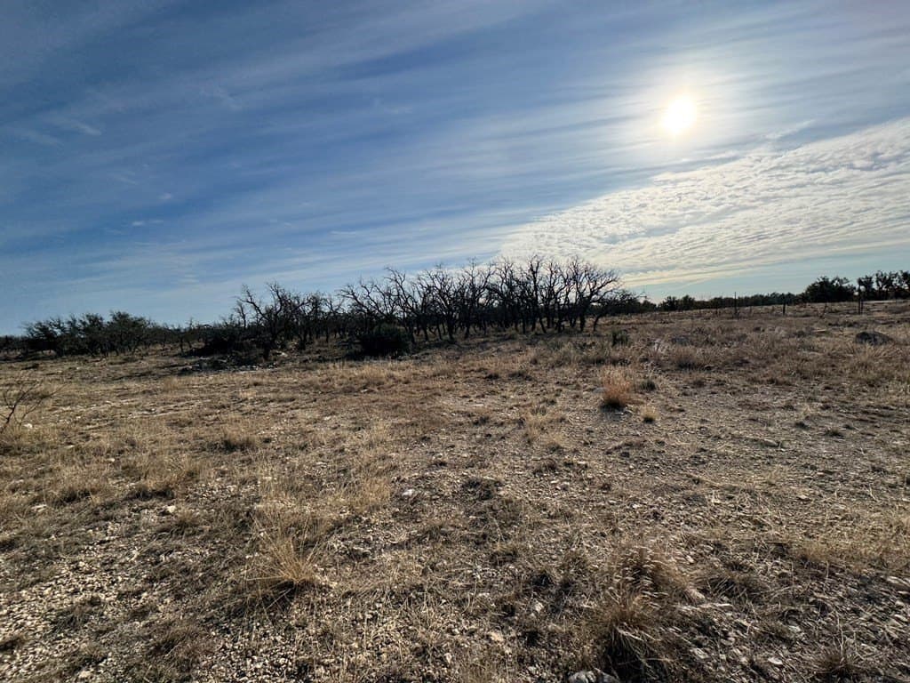 18.44 acres in Menard County - photo 6