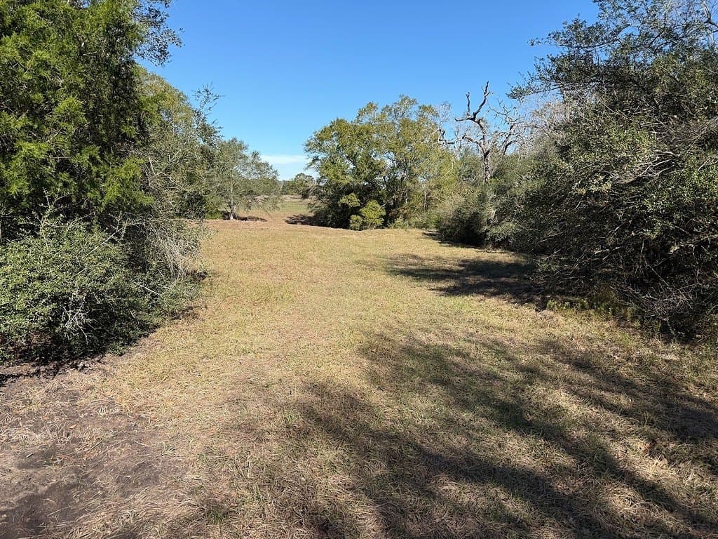 12.62 acres in Colorado County - photo 27