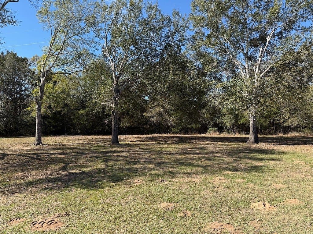 12.62 acres in Colorado County - photo 24