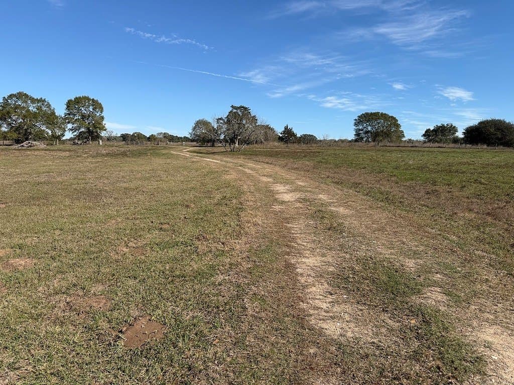 12.62 acres in Colorado County - photo 21