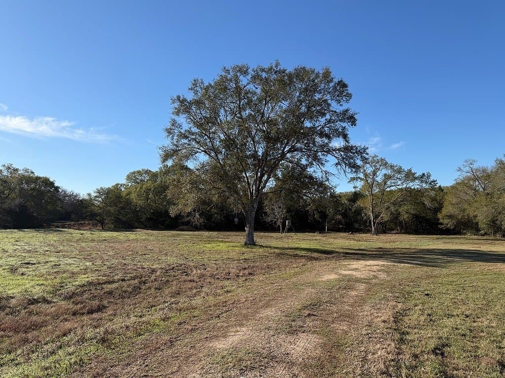 12.62 acres in Colorado County - photo 23