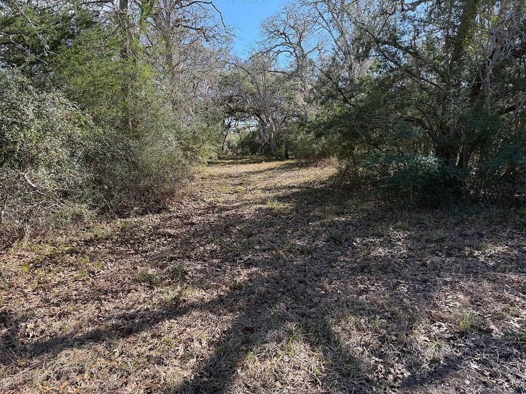 12.62 acres in Colorado County - photo 22