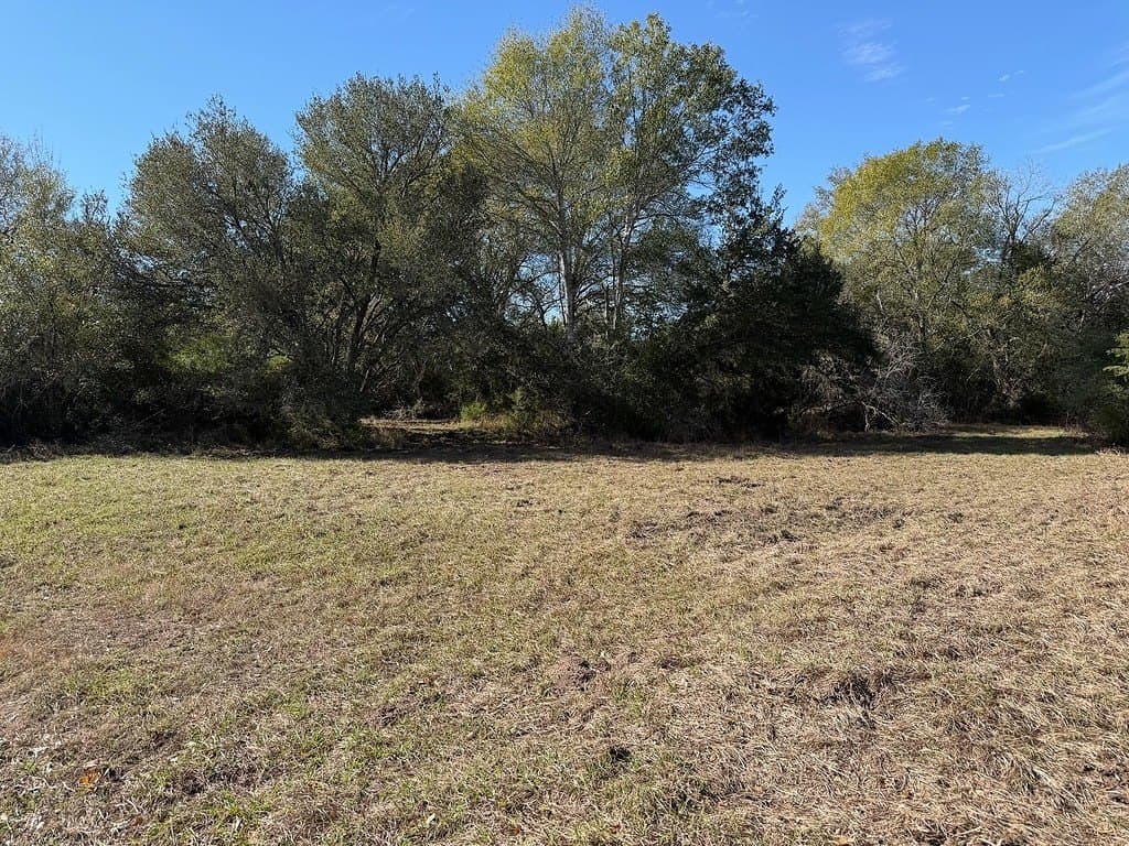 12.62 acres in Colorado County - photo 26