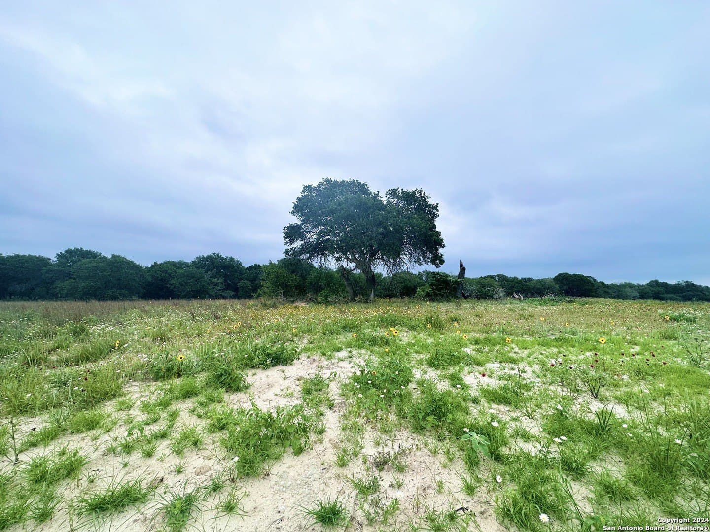 1 acres in Wilson County - photo 2