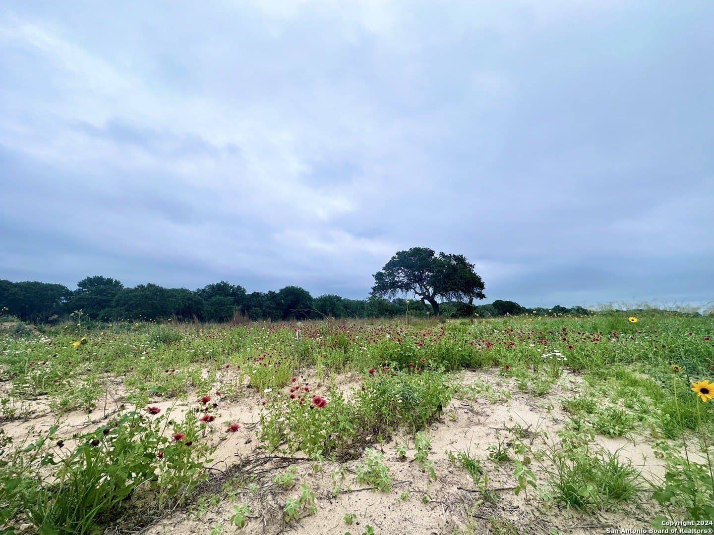1 acres in Wilson County - photo 4