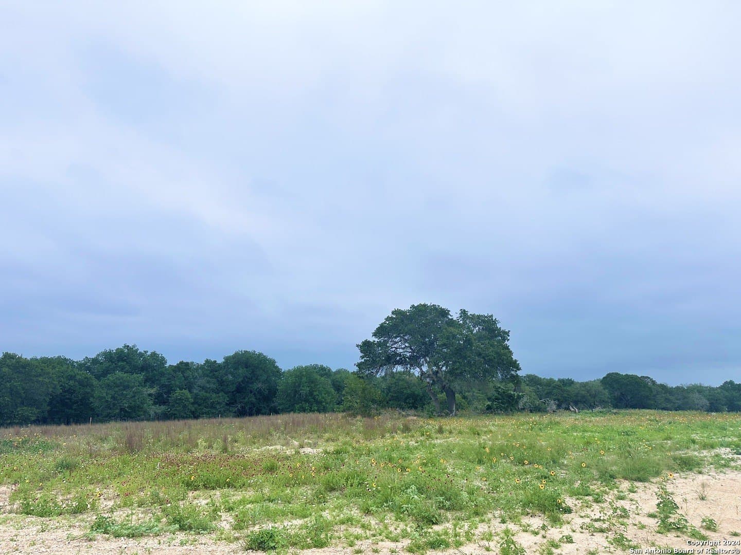 1 acres in Wilson County - photo 5