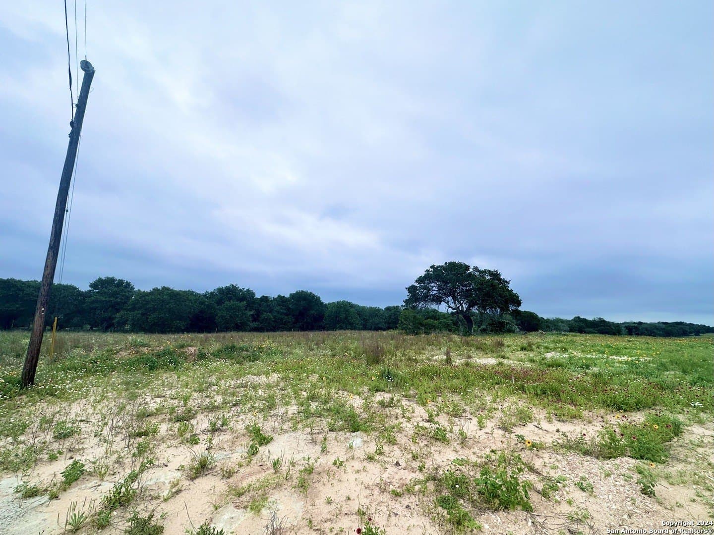 1 acres in Wilson County - photo 3