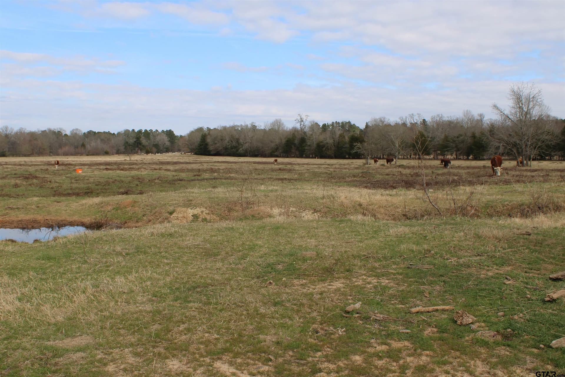 42.47 acres in Smith County - photo 3
