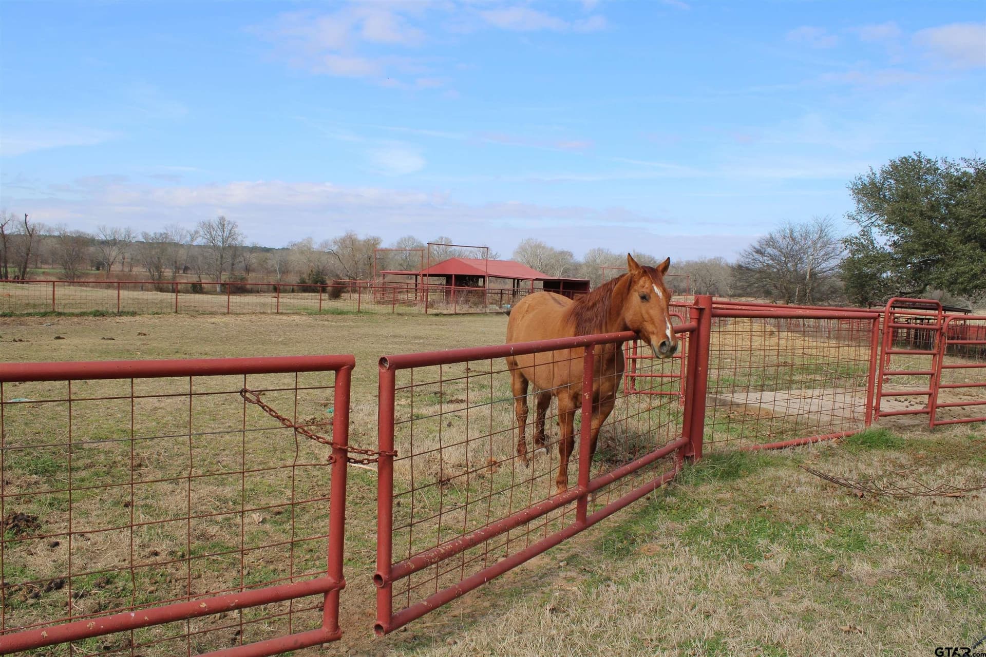 42.47 acres in Smith County - photo 5