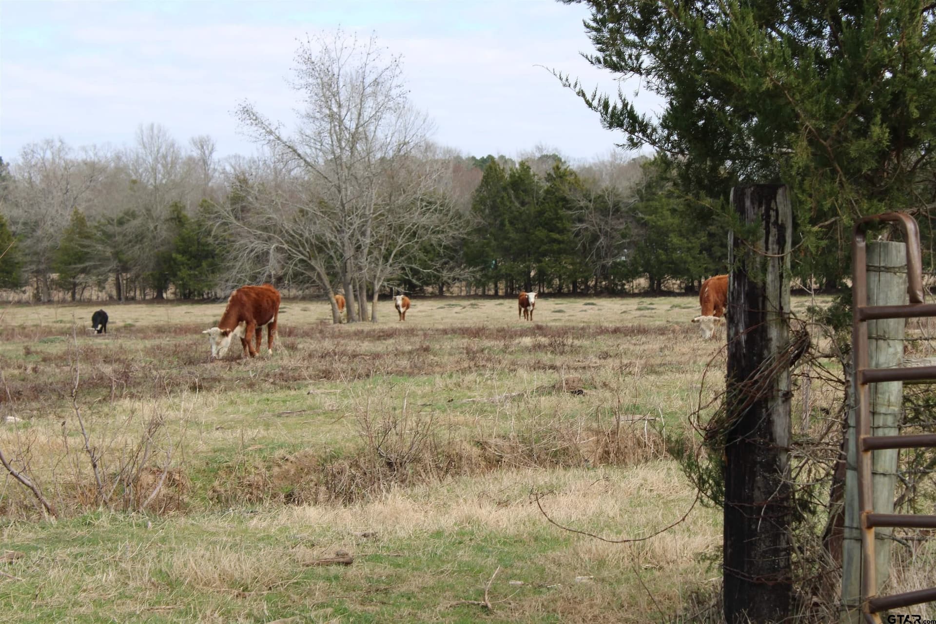 42.47 acres in Smith County - photo 13