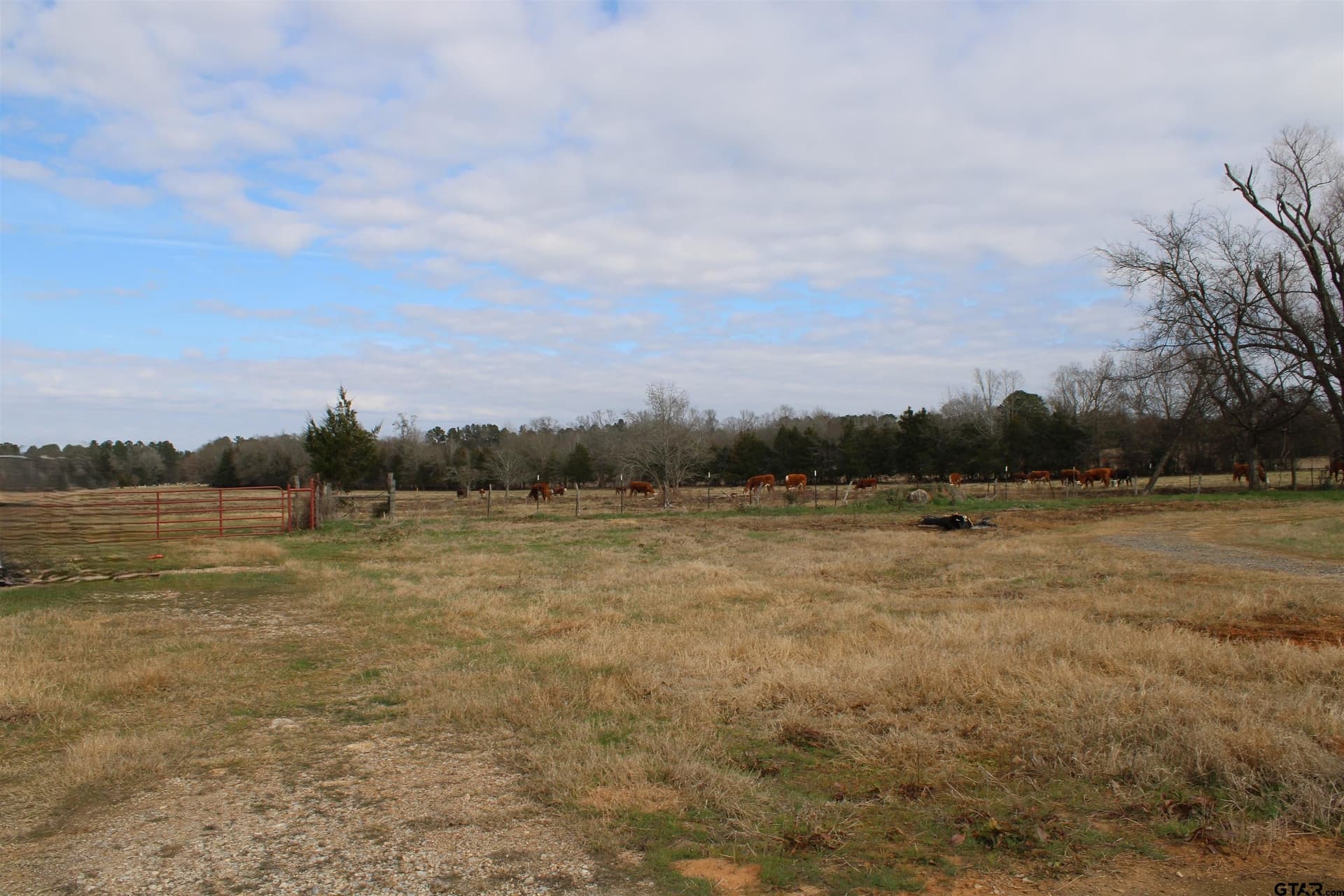 42.47 acres in Smith County - photo 4