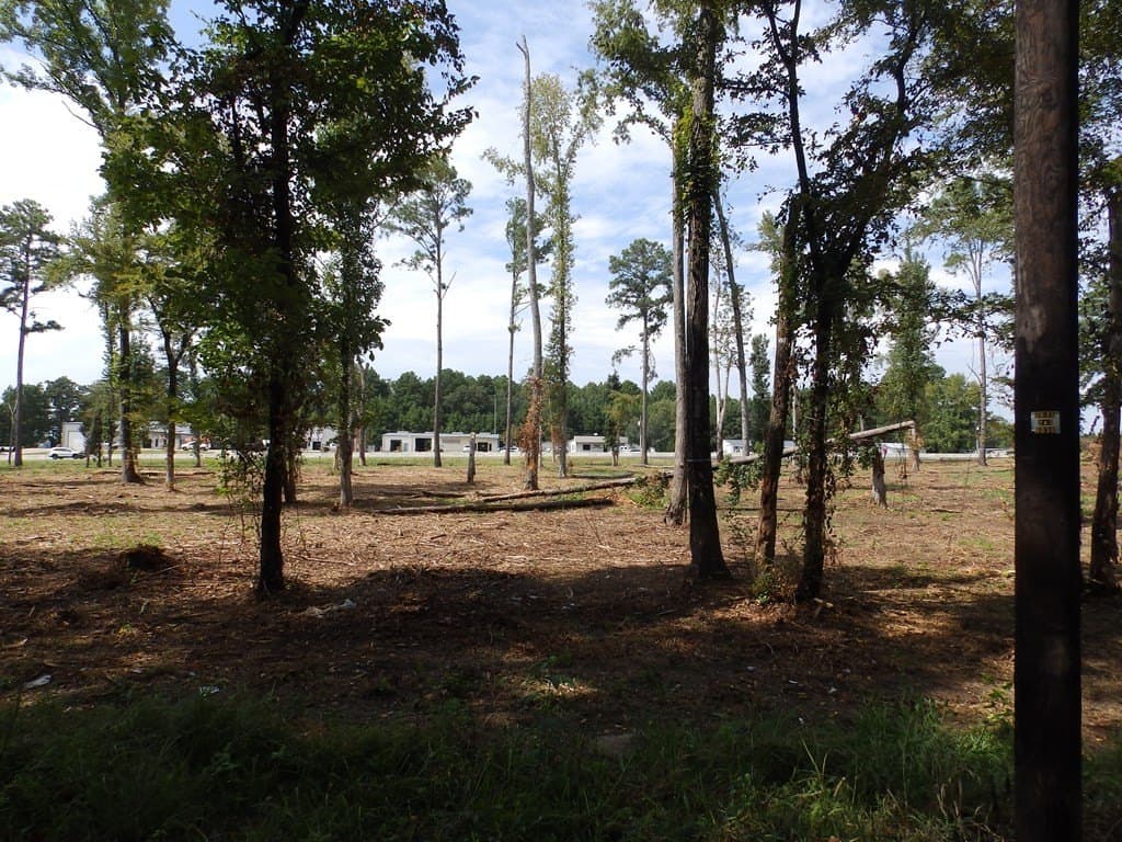 13 acres in Smith County - photo 17
