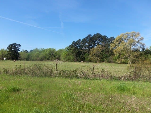 Tbd U.S. HWY. 259 N.