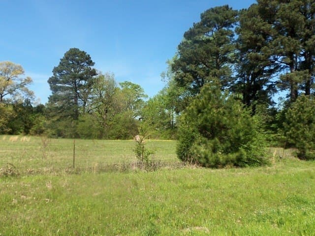149.75 acres in Rusk County - photo 2