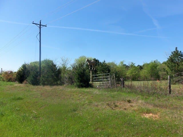 149.75 acres in Rusk County - photo 5