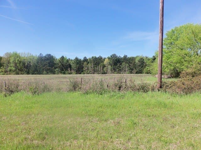 149.75 acres in Rusk County - photo 9