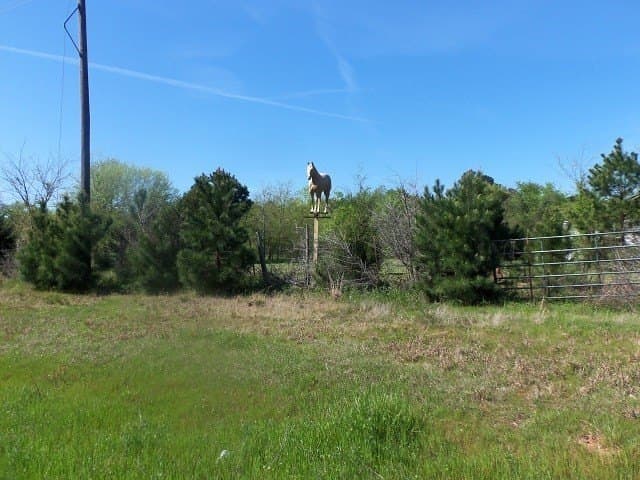 149.75 acres in Rusk County - photo 3