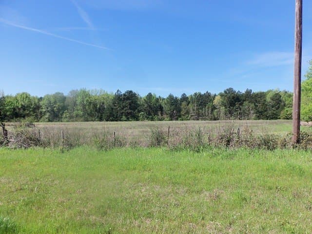 149.75 acres in Rusk County - photo 6