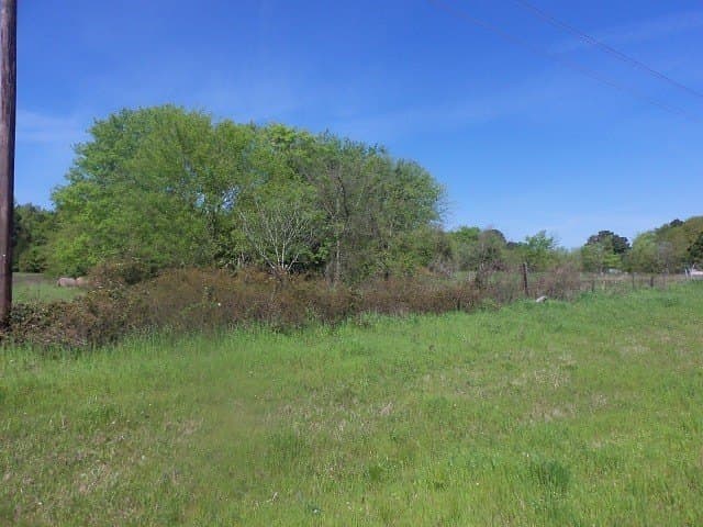 149.75 acres in Rusk County - photo 8