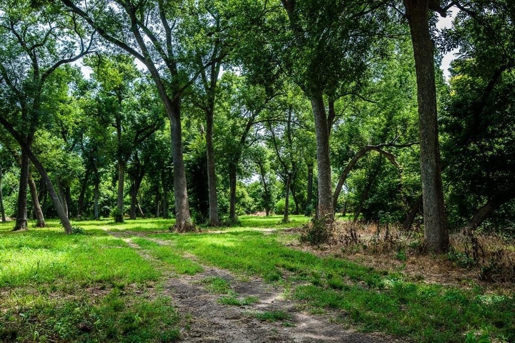 30.03 acres in Ellis County - photo 13