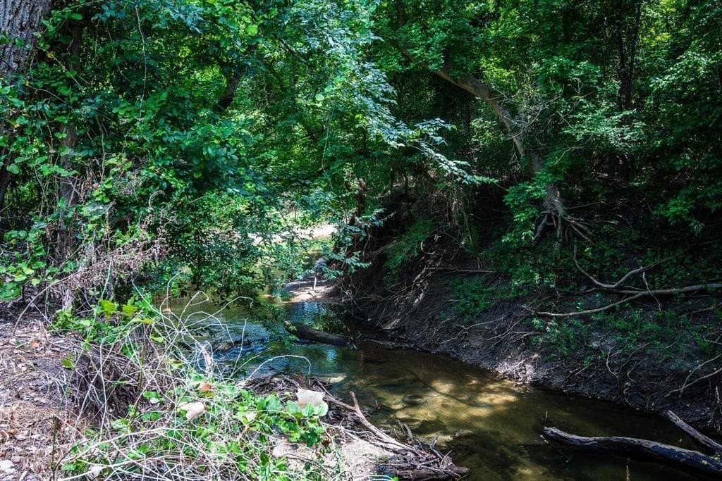 30.03 acres in Ellis County - photo 6