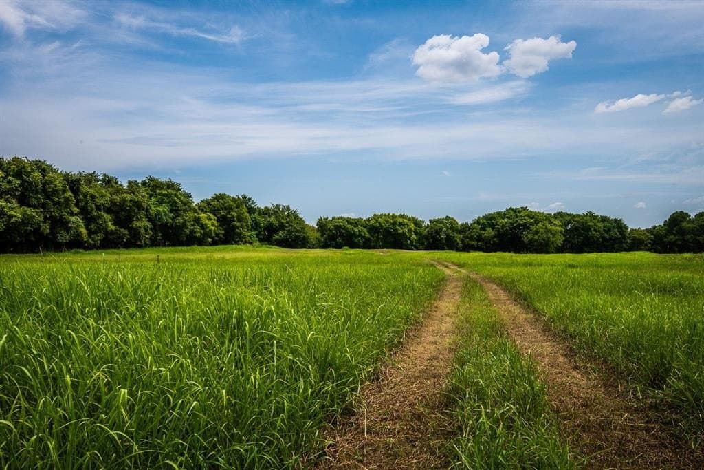 30.03 acres in Ellis County - photo 9