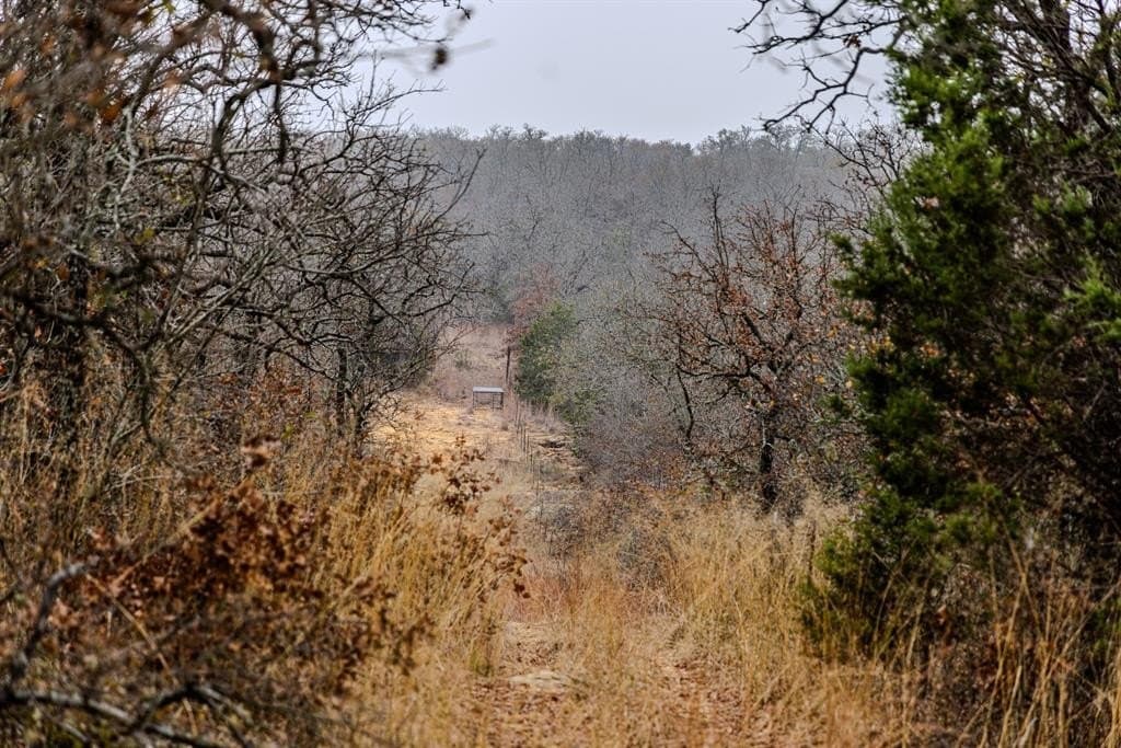 89.42 acres in Palo Pinto County - photo 29