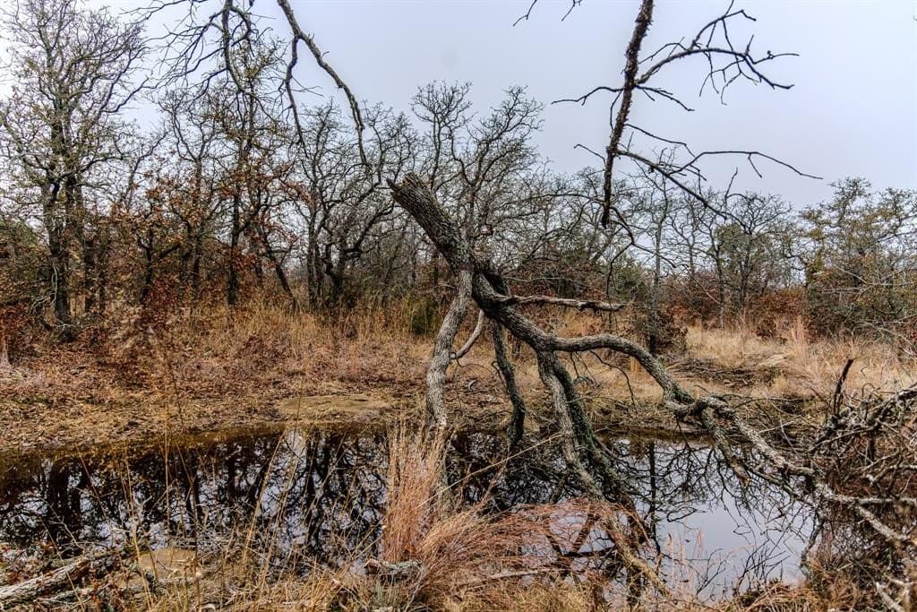89.42 acres in Palo Pinto County - photo 26
