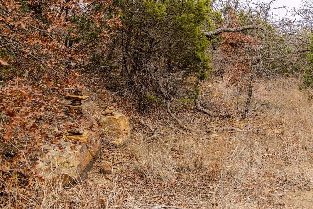 89.42 acres in Palo Pinto County - photo 23