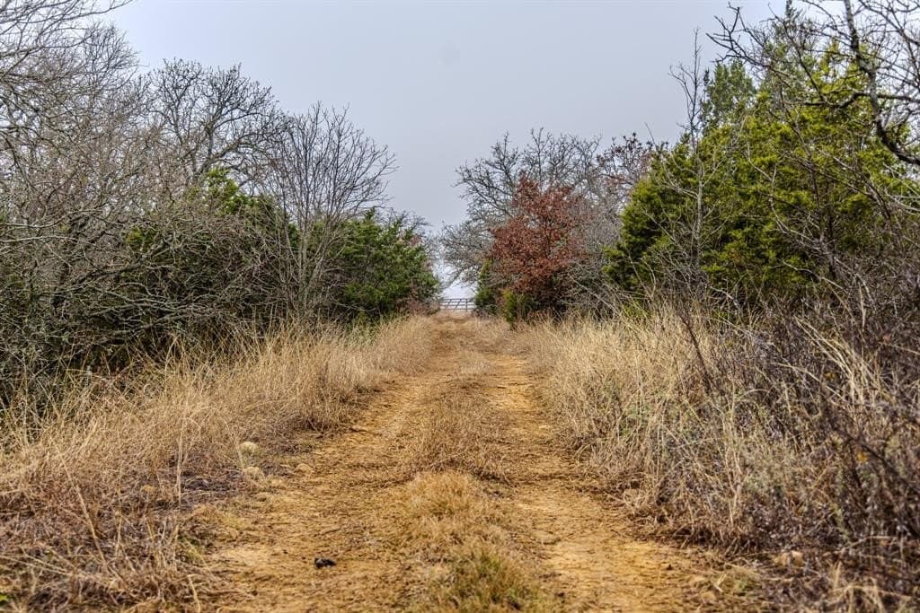 89.42 acres in Palo Pinto County - photo 25