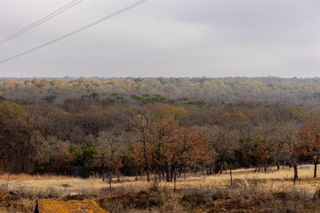 89.42 acres in Palo Pinto County - photo 33