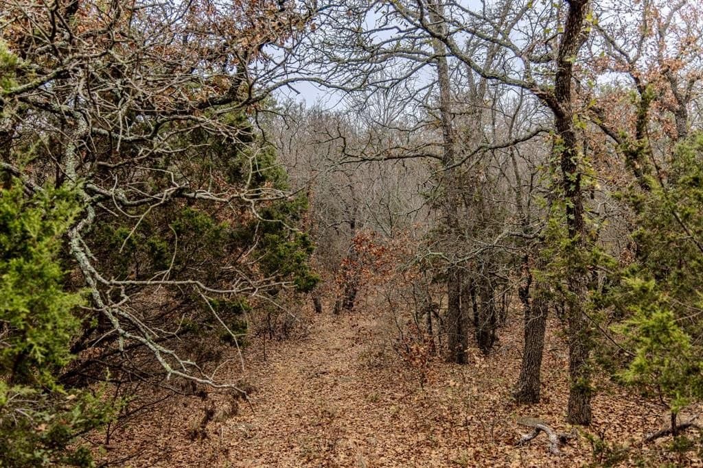 89.42 acres in Palo Pinto County - photo 22