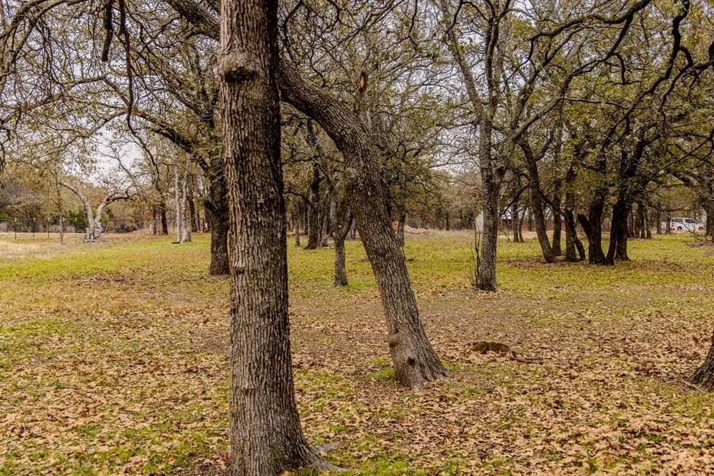 89.42 acres in Palo Pinto County - photo 39
