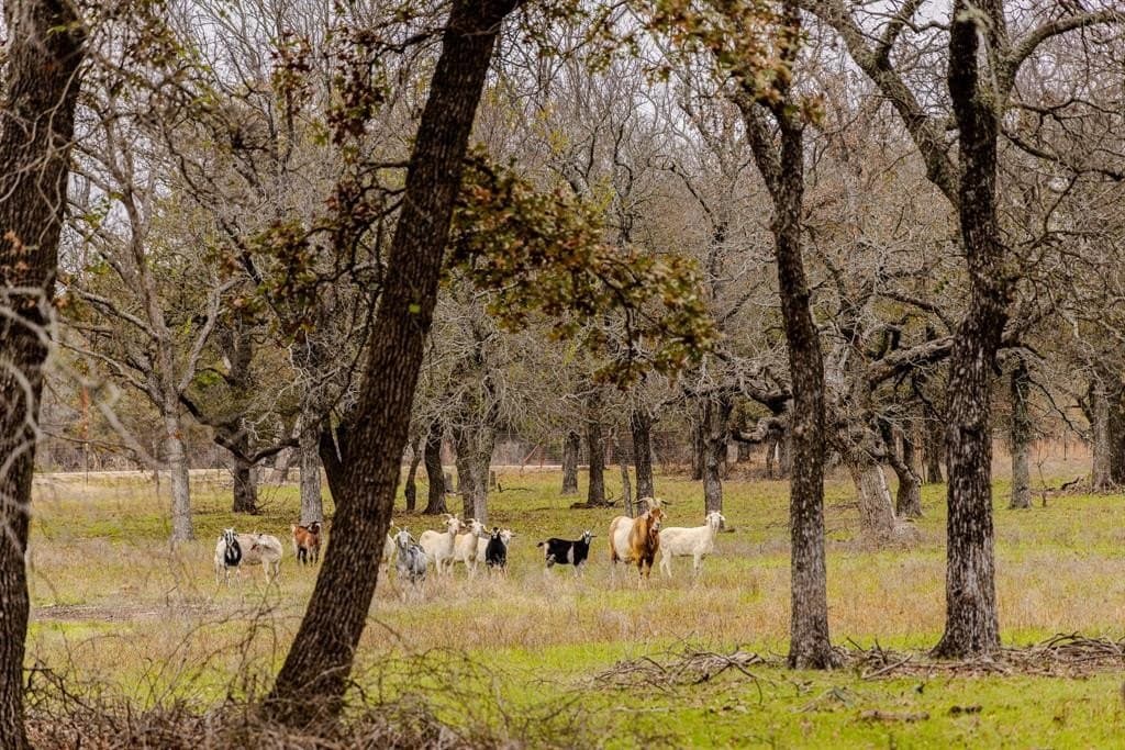 89.42 acres in Palo Pinto County - photo 38