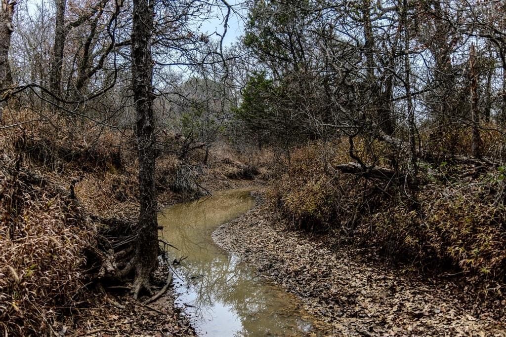 89.42 acres in Palo Pinto County - photo 24