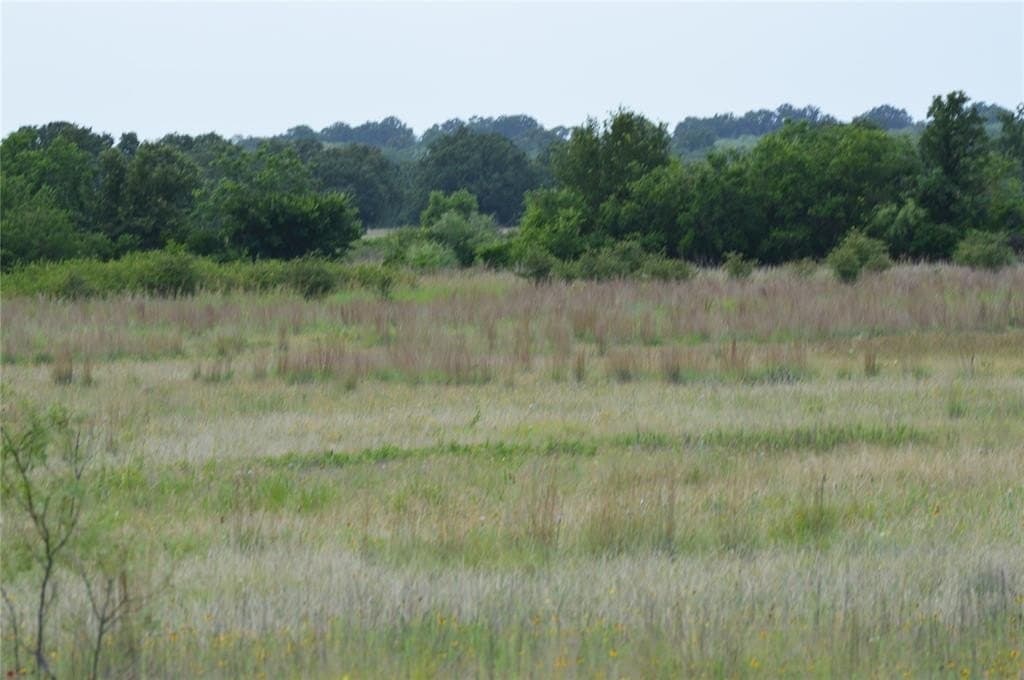 92 acres in Eastland County - photo 13