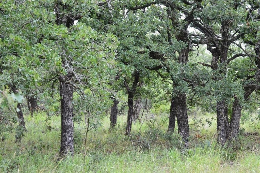 92 acres in Eastland County - photo 3