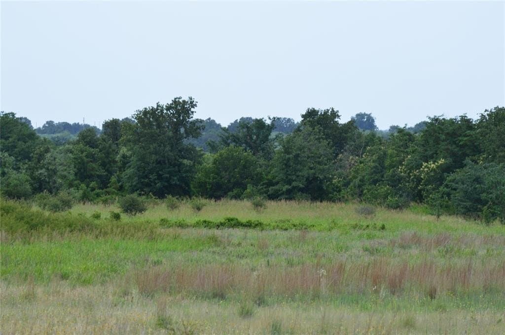 92 acres in Eastland County - photo 28