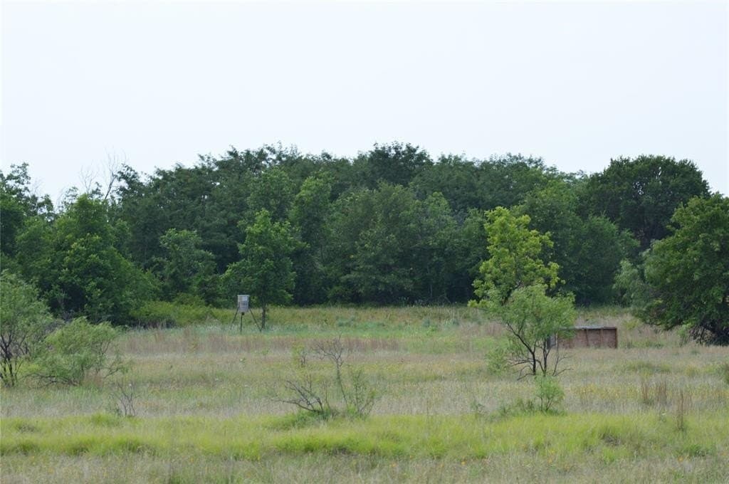 92 acres in Eastland County - photo 14