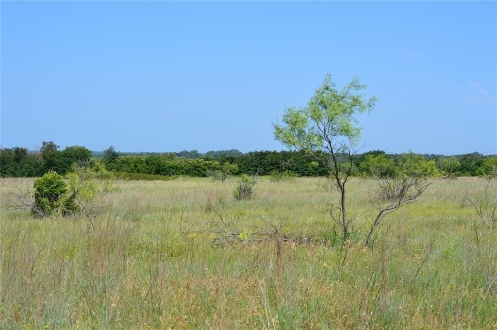 92 acres in Eastland County - photo 16