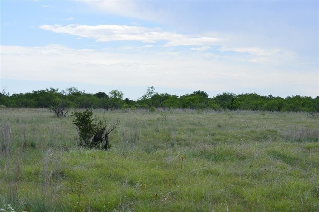 92 acres in Eastland County - photo 27