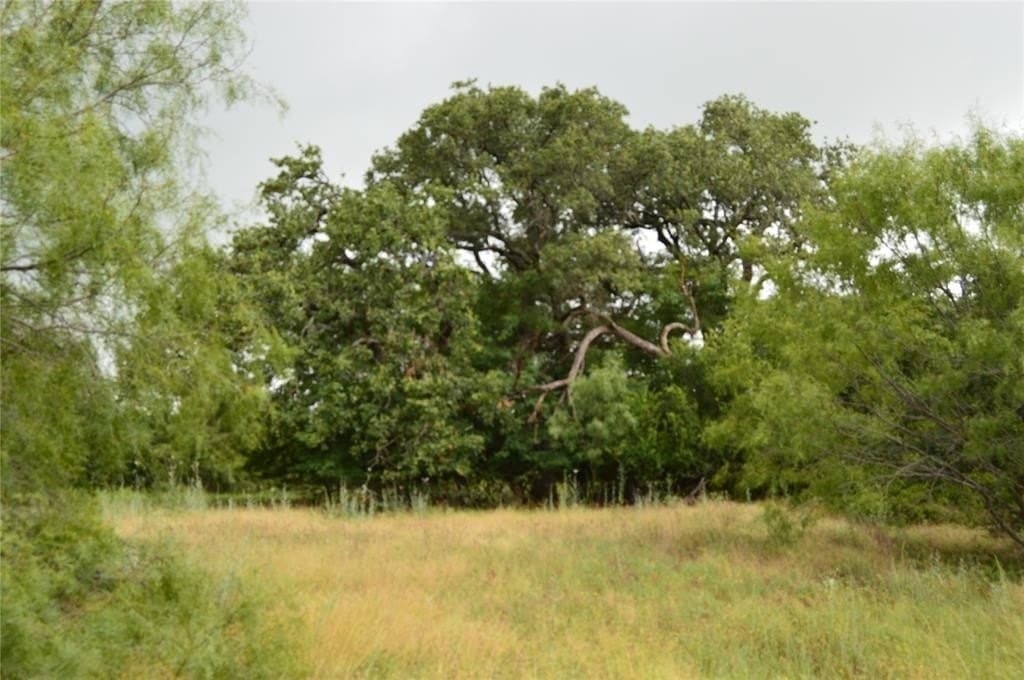 92 acres in Eastland County - photo 8