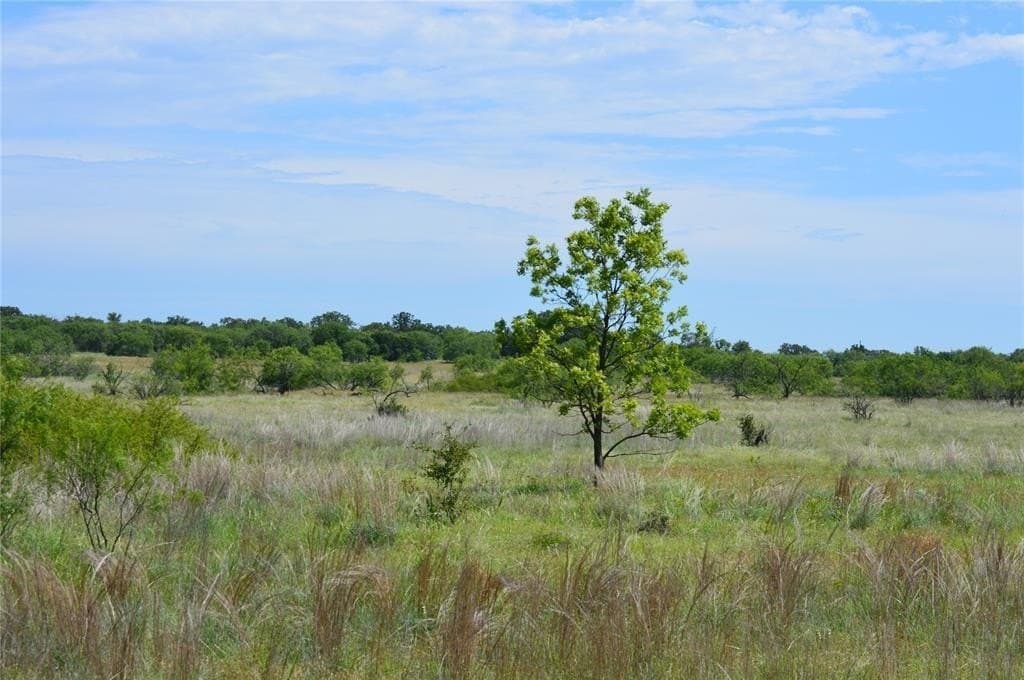 92 acres in Eastland County - photo 17