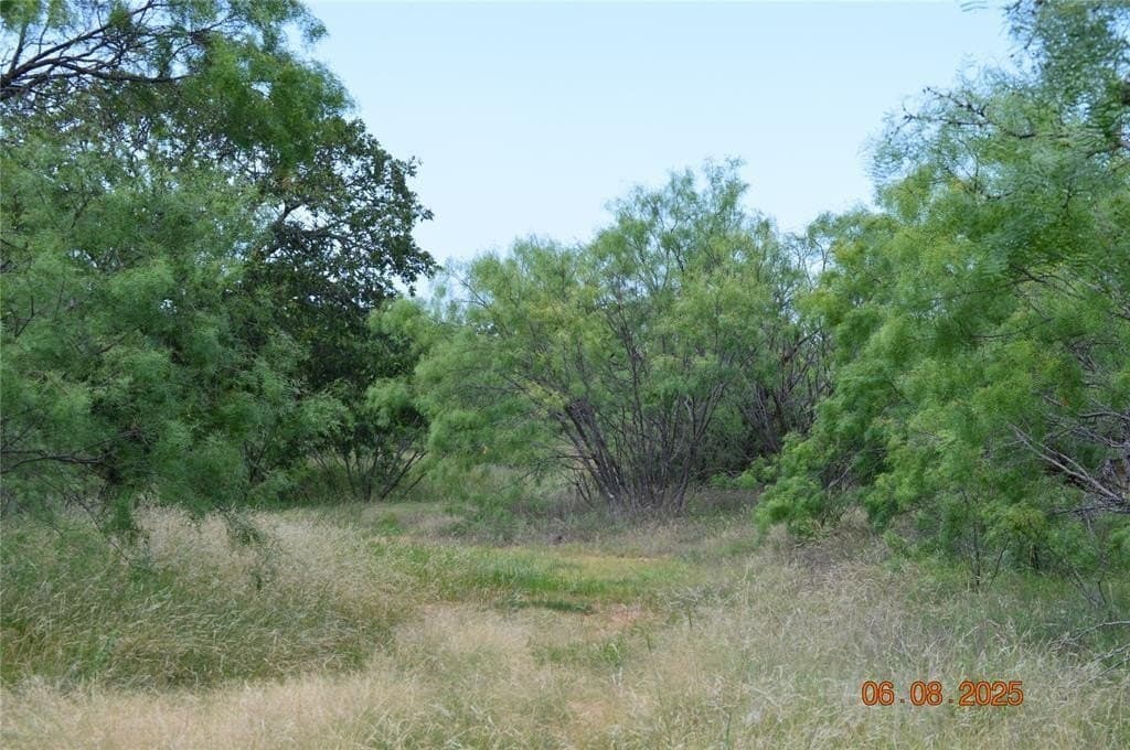 92 acres in Eastland County - photo 7